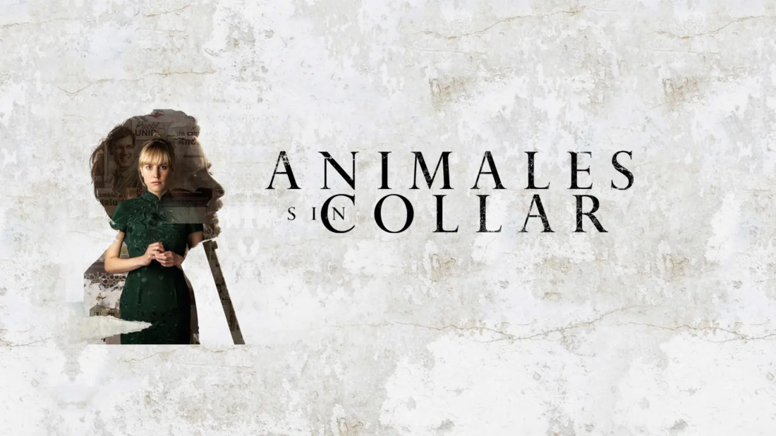 Animales sin collar (Animales sin collar) izlemek için tıklayınız.