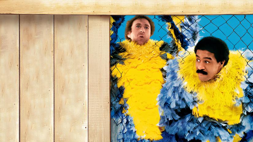 Beni deli etme (Stir Crazy) izlemek için tıklayınız.