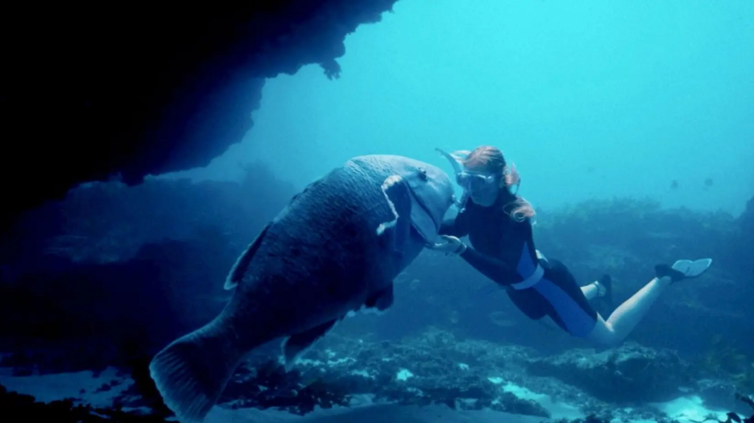 Blueback (Blueback) izlemek için tıklayınız.