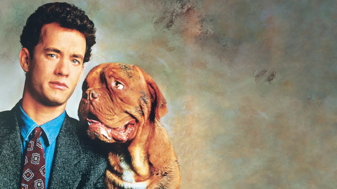 Dikkat Köpek Var (Turner & Hooch) izlemek için tıklayınız.