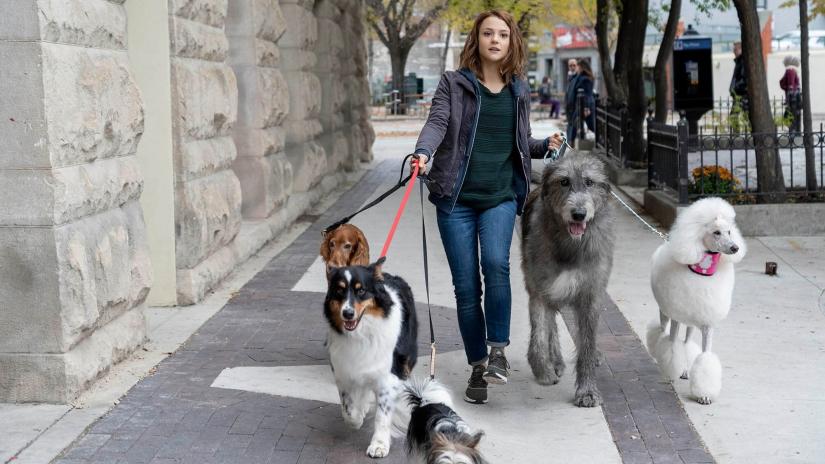 Dostumun Yolculuğu (A Dog's Journey) izlemek için tıklayınız.