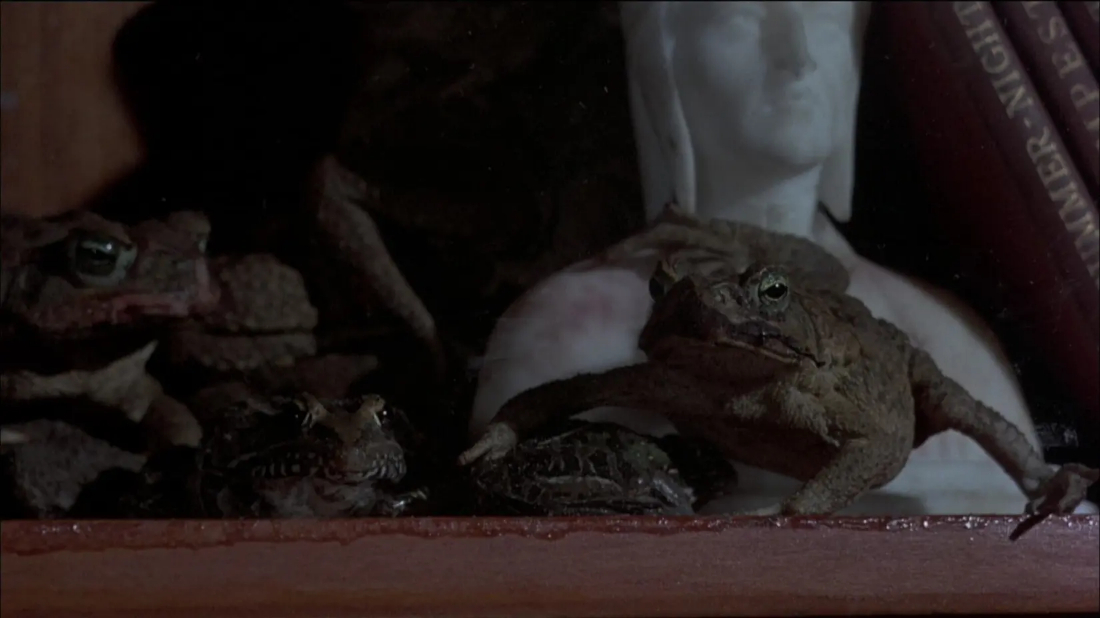 Frogs (Frogs) izlemek için tıklayınız.