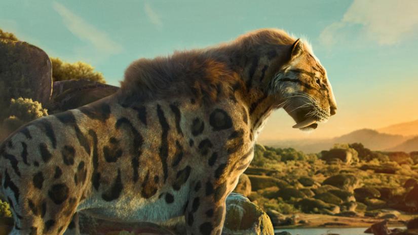 Gezegenimizde Yaşam (Life on Our Planet) izlemek için tıklayınız.
