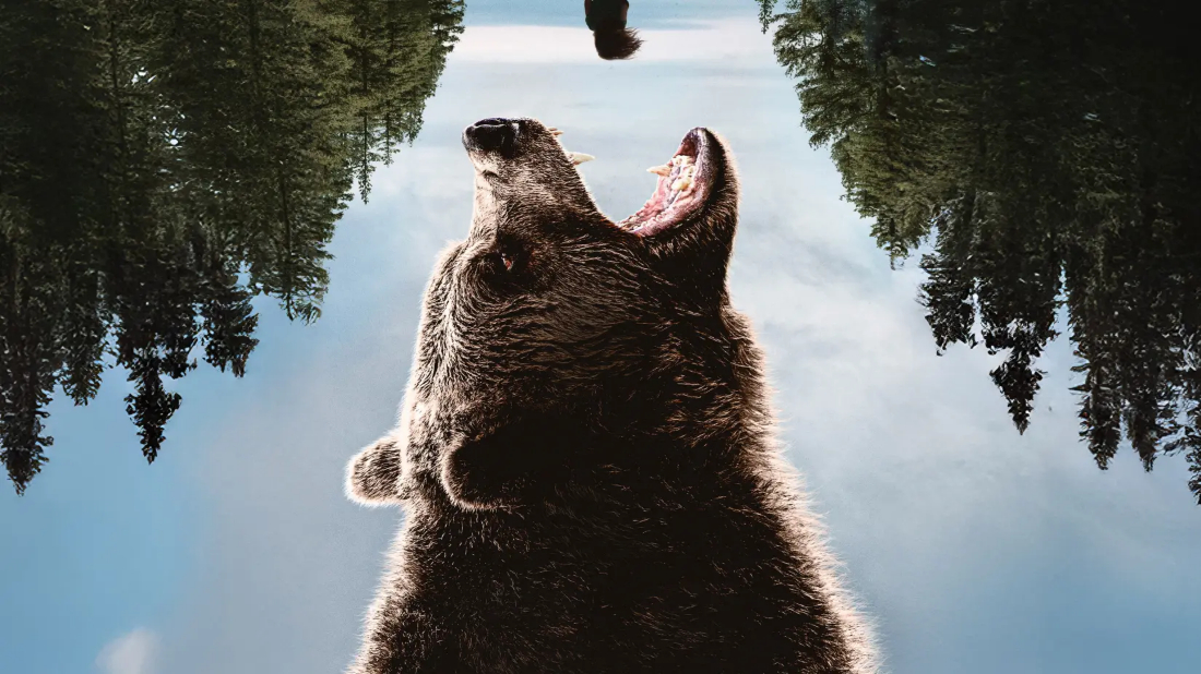 Grizzly Night (Grizzly Night) izlemek için tıklayınız.
