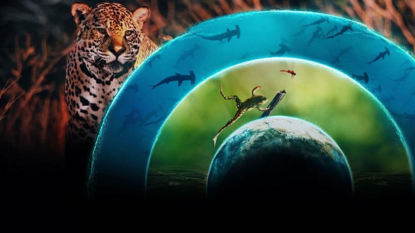 Hayat Dolu Dünyamız (Our Living World) izlemek için tıklayınız.