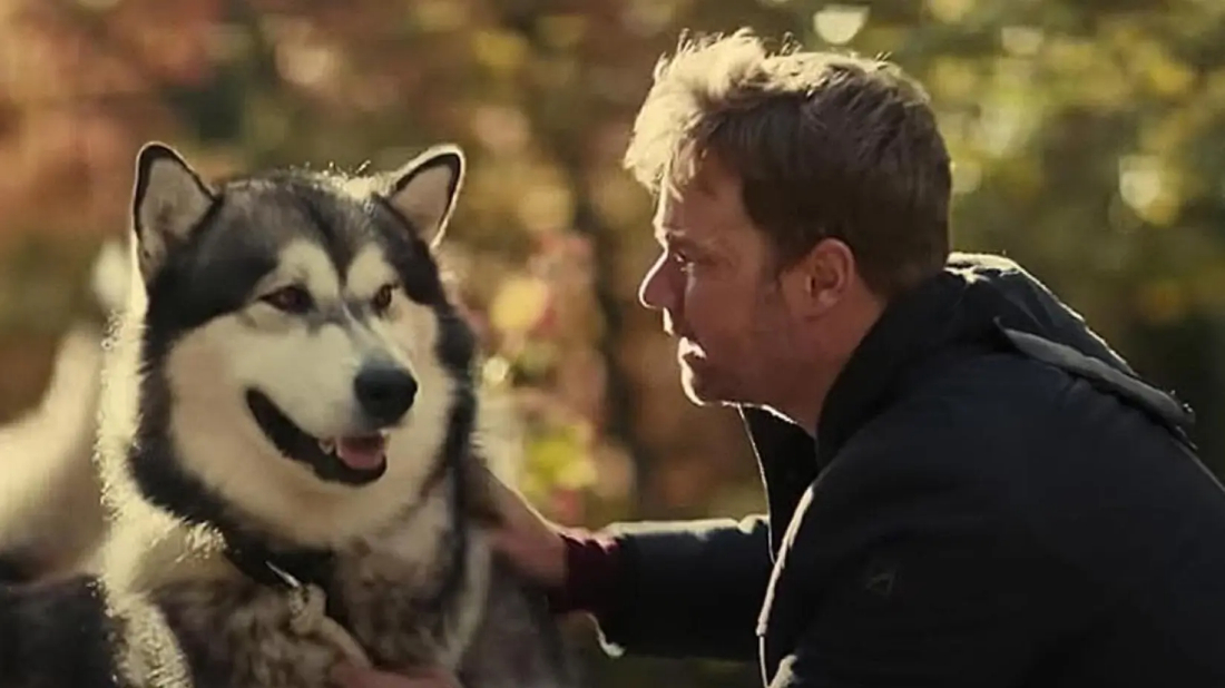 Hero Dog: The Journey Home (Hero Dog: The Journey Home) izlemek için tıklayınız.