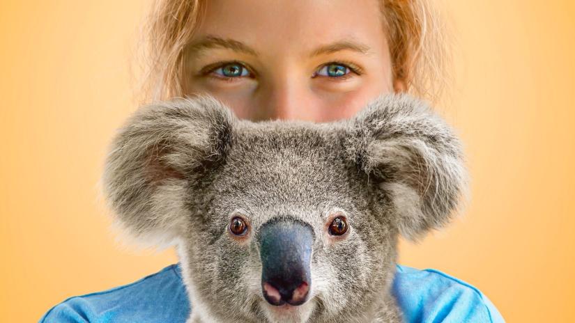 Izzy'nin Koala Dünyası (Izzy's Koala World) izlemek için tıklayınız.