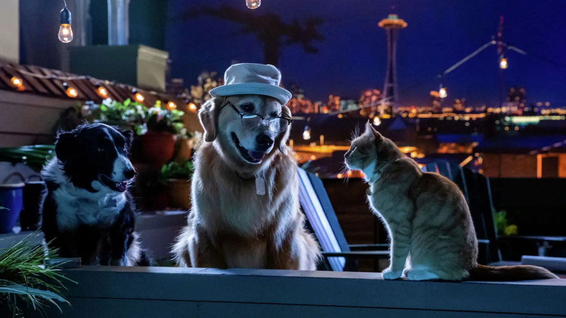 Cats & Dogs 3: Paws Unite (Cats & Dogs 3: Paws Unite) izlemek için tıklayınız.