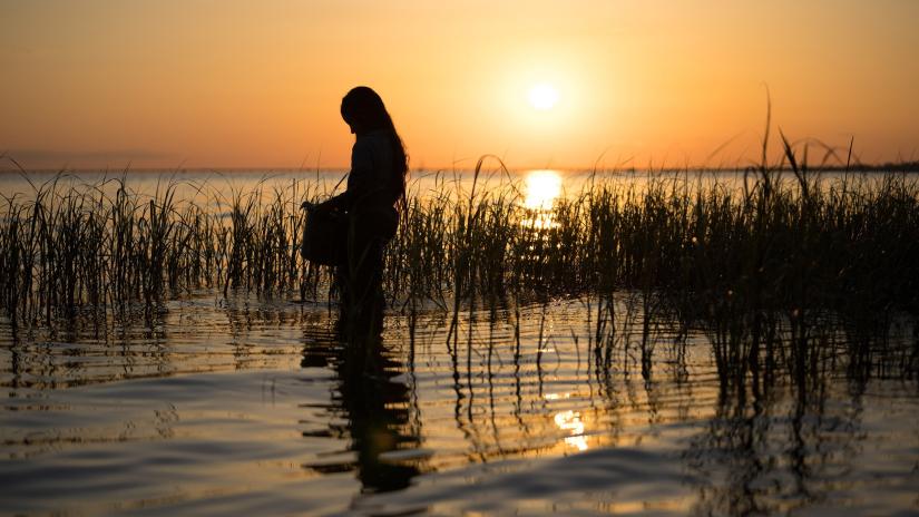 Kya'nın Şarkı Söylediği Yer (Where the Crawdads Sing) izlemek için tıklayınız.