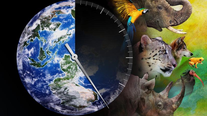 Racing Extinction (Racing Extinction) izlemek için tıklayınız.