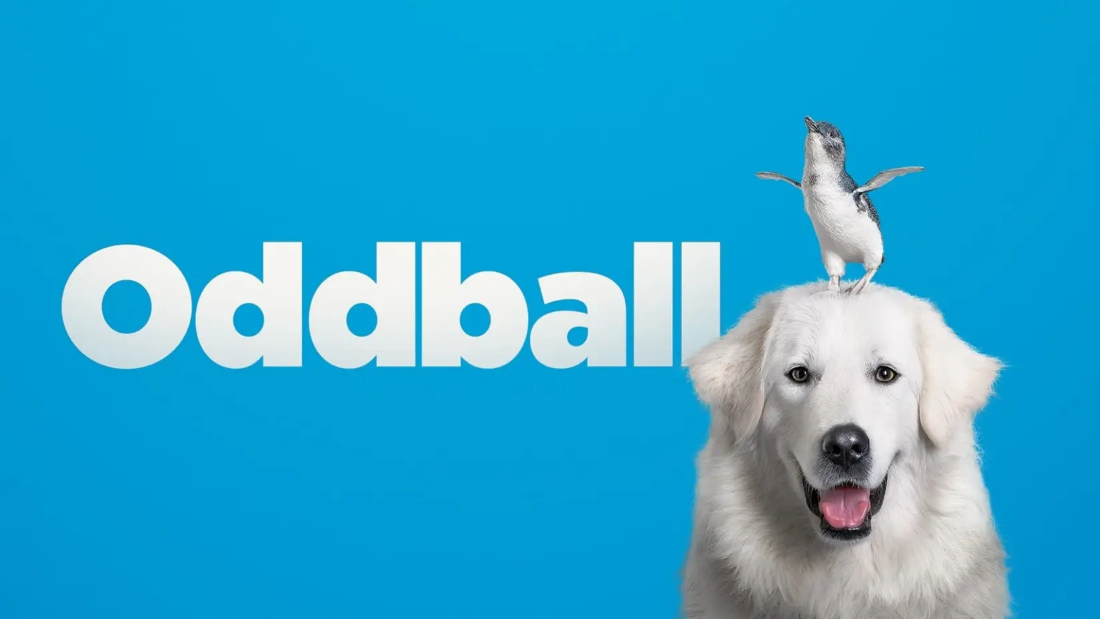 Cesur Köpek (Oddball) izlemek için tıklayınız.