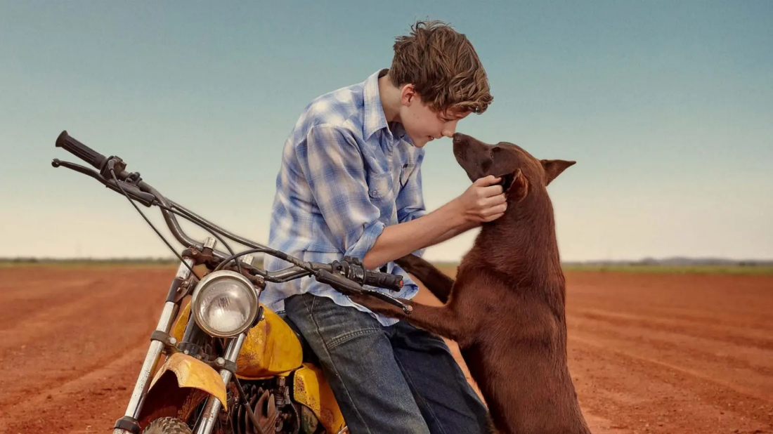 Red Dog: True Blue (Red Dog: True Blue) izlemek için tıklayınız.