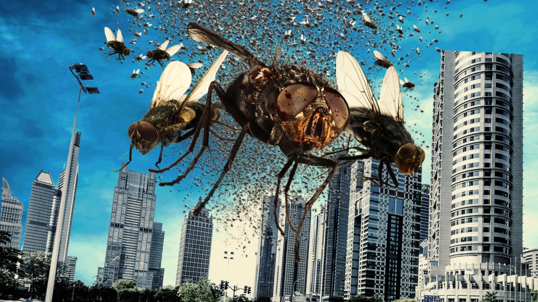 The Deadly Swarm (The Deadly Swarm) izlemek için tıklayınız.