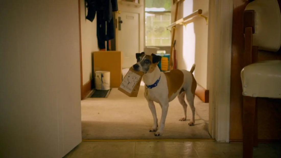 Treasure Hounds (Treasure Hounds) izlemek için tıklayınız.
