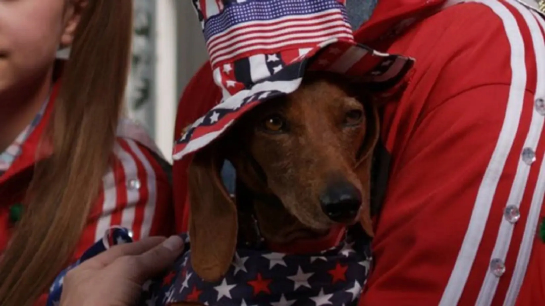 Wiener Dog Internationals (Wiener Dog Internationals) izlemek için tıklayınız.