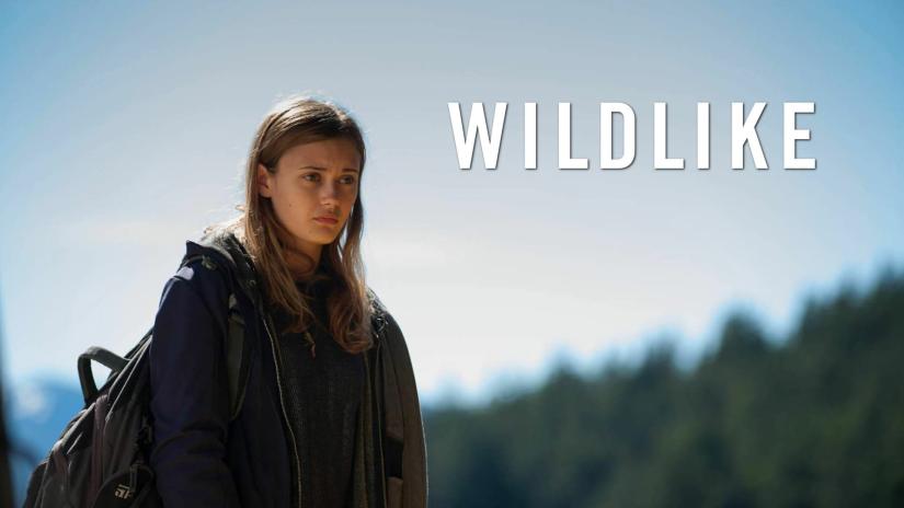 Wildlike (Wildlike) izlemek için tıklayınız.