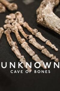 Bilinmeyenler: Kemik Mağarası (Unknown: Cave of Bones) izle full hd hemen çabuk