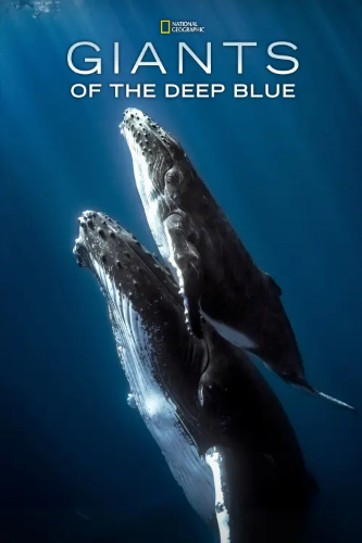 Okyanusun Devleri (Giants of the Deep Blue) izle full hd hemen çabuk