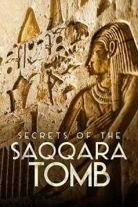 Sakkara'nın Sırları (Secrets of the Saqqara Tomb) izle full hd hemen çabuk