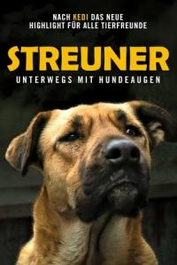 Stray (Stray) izle full hd hemen çabuk
